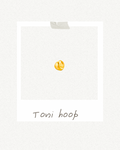 Toni hoop