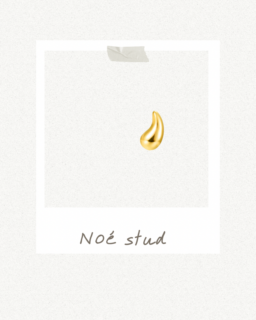Noé stud