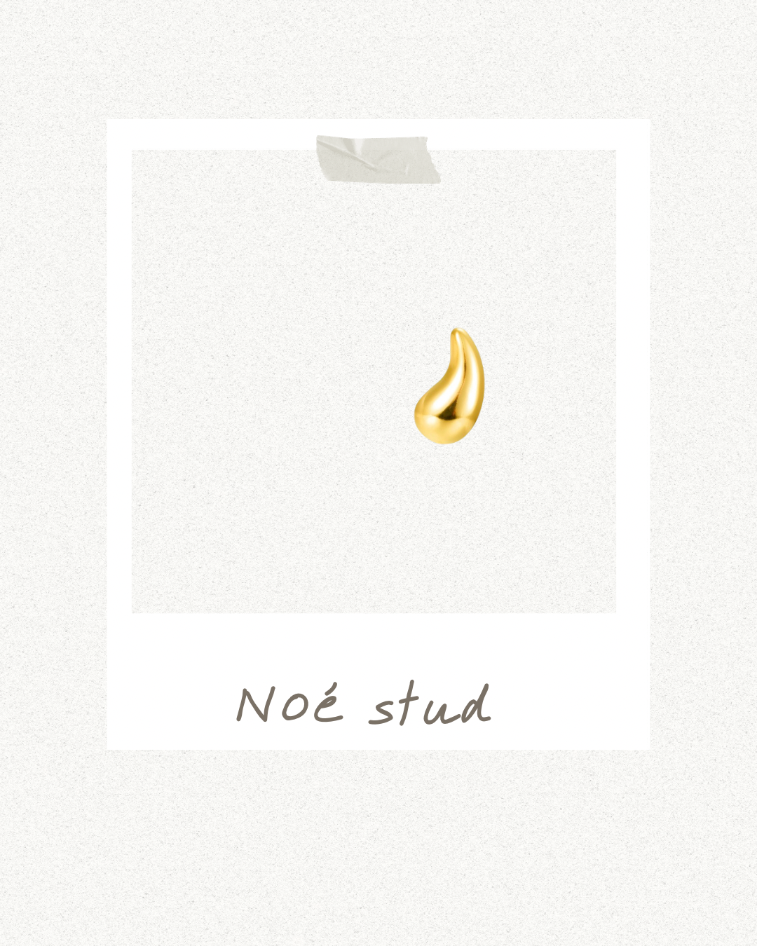 Noé stud